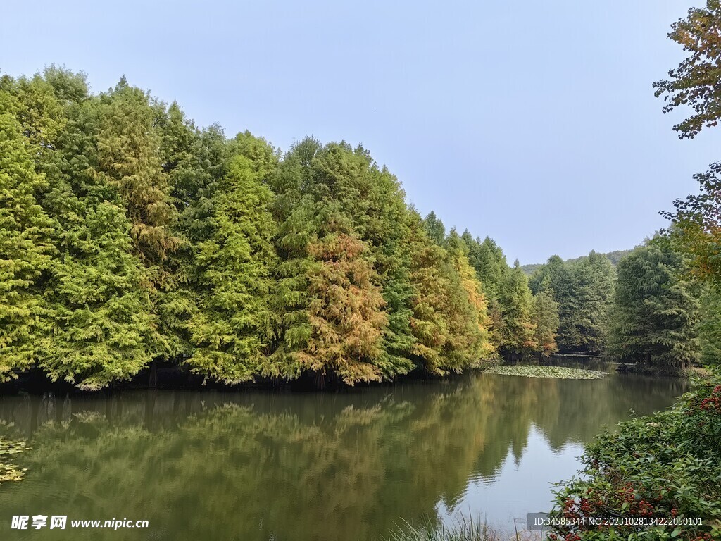 燕雀湖