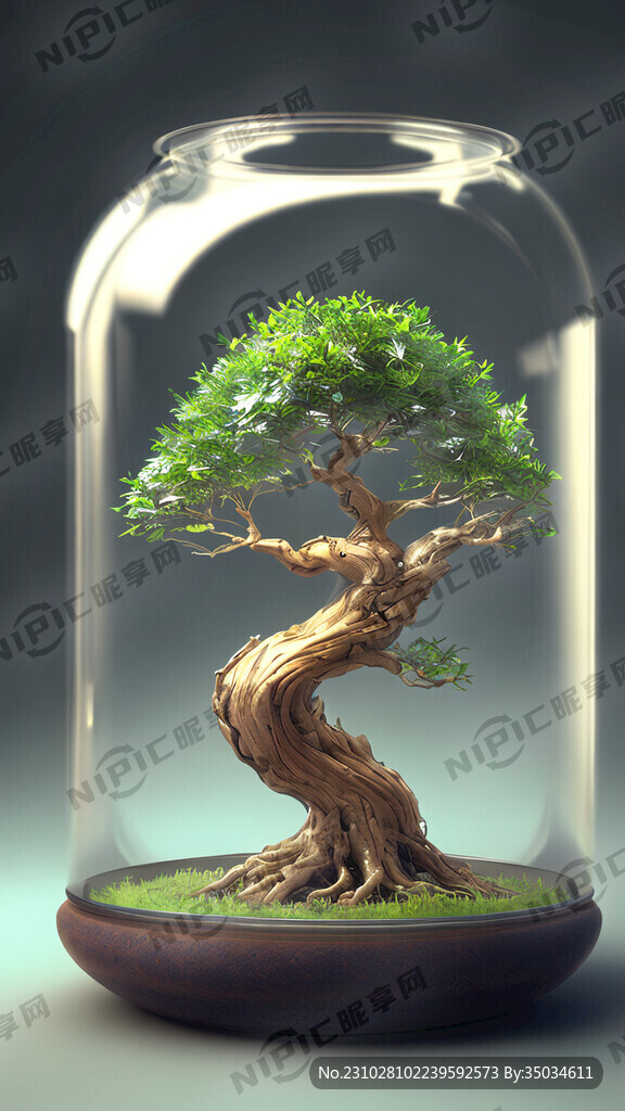玻璃缸树