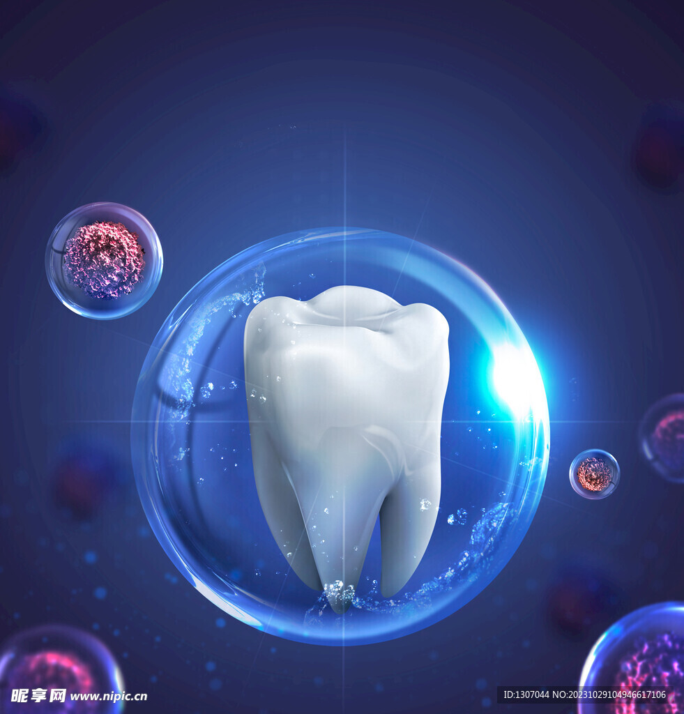 牙齿 模型  口腔 3D 