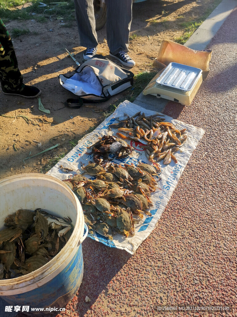 海鲜市集