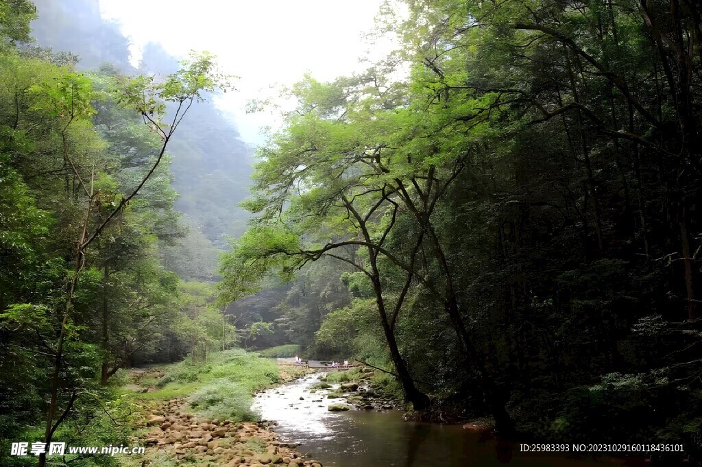 山涧流水