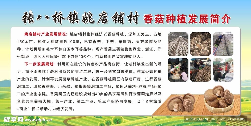 香菇简介