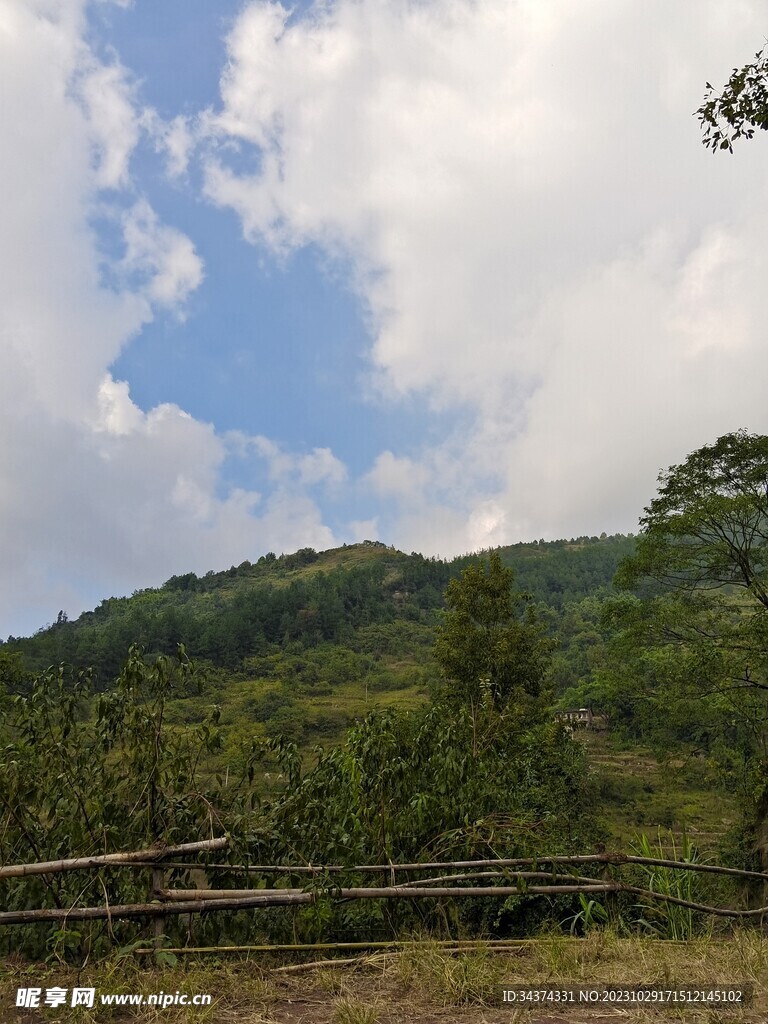竹围栏