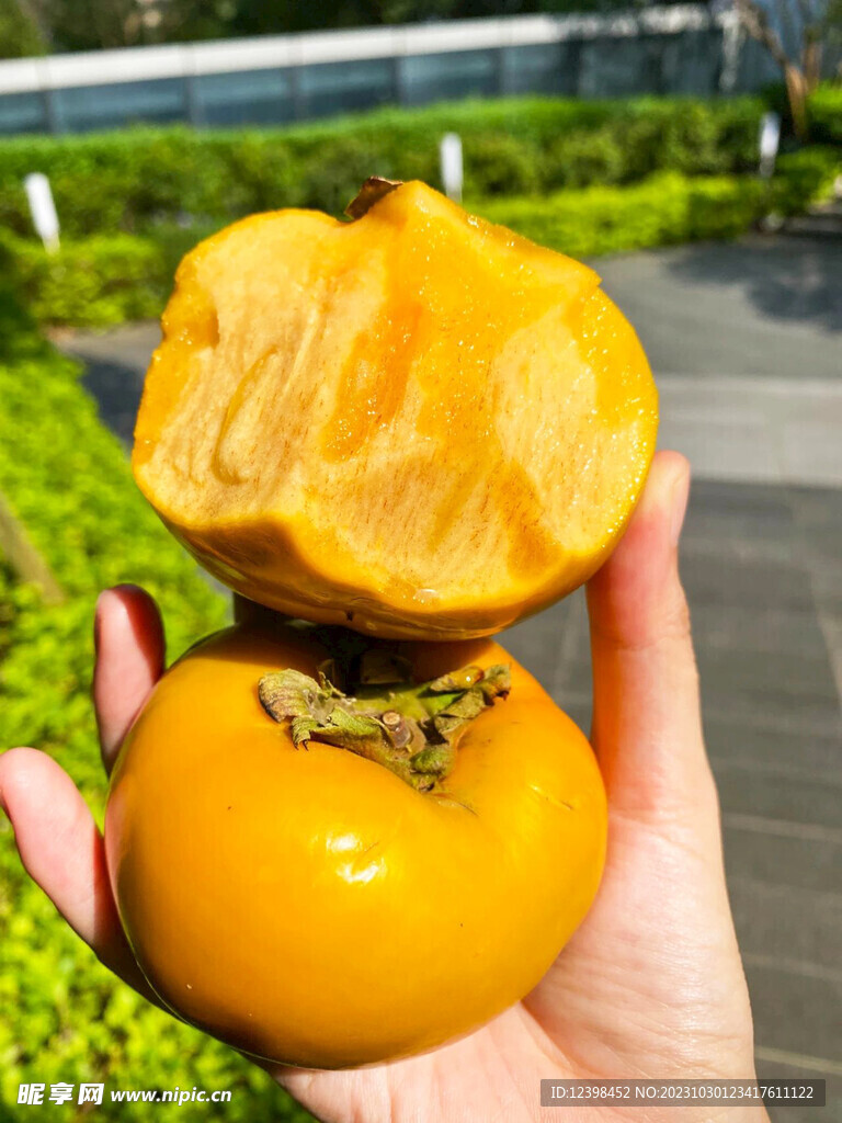 柿子