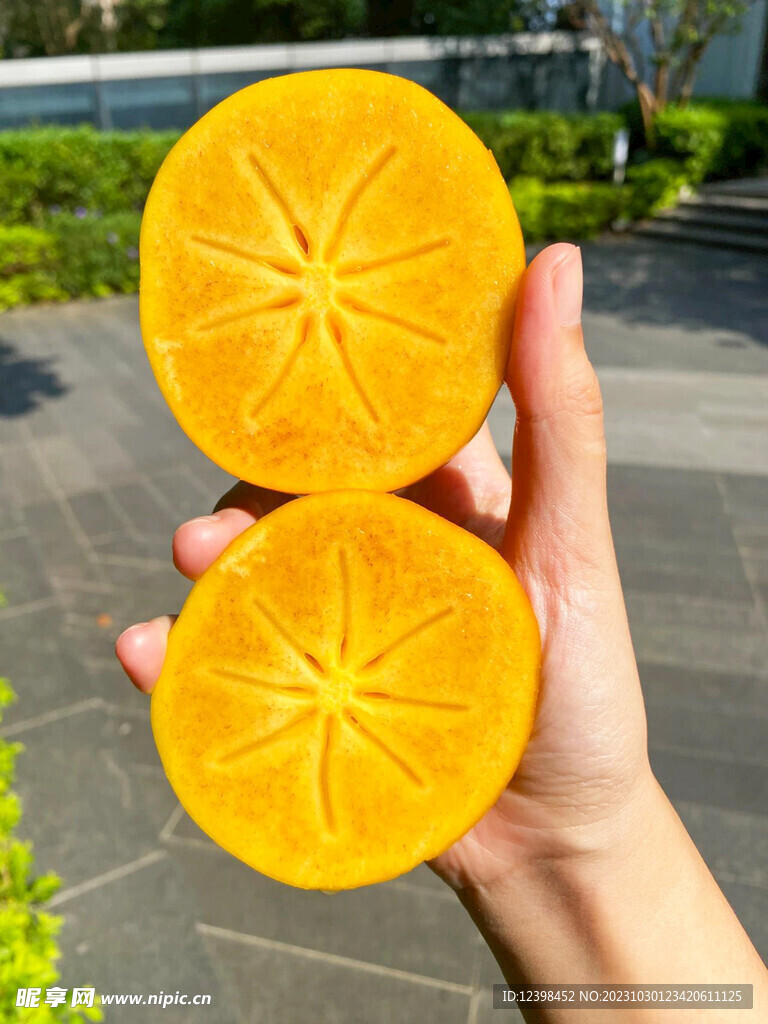 柿子