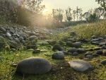 鹅卵石苔藓草地