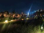 三岔湖夜景