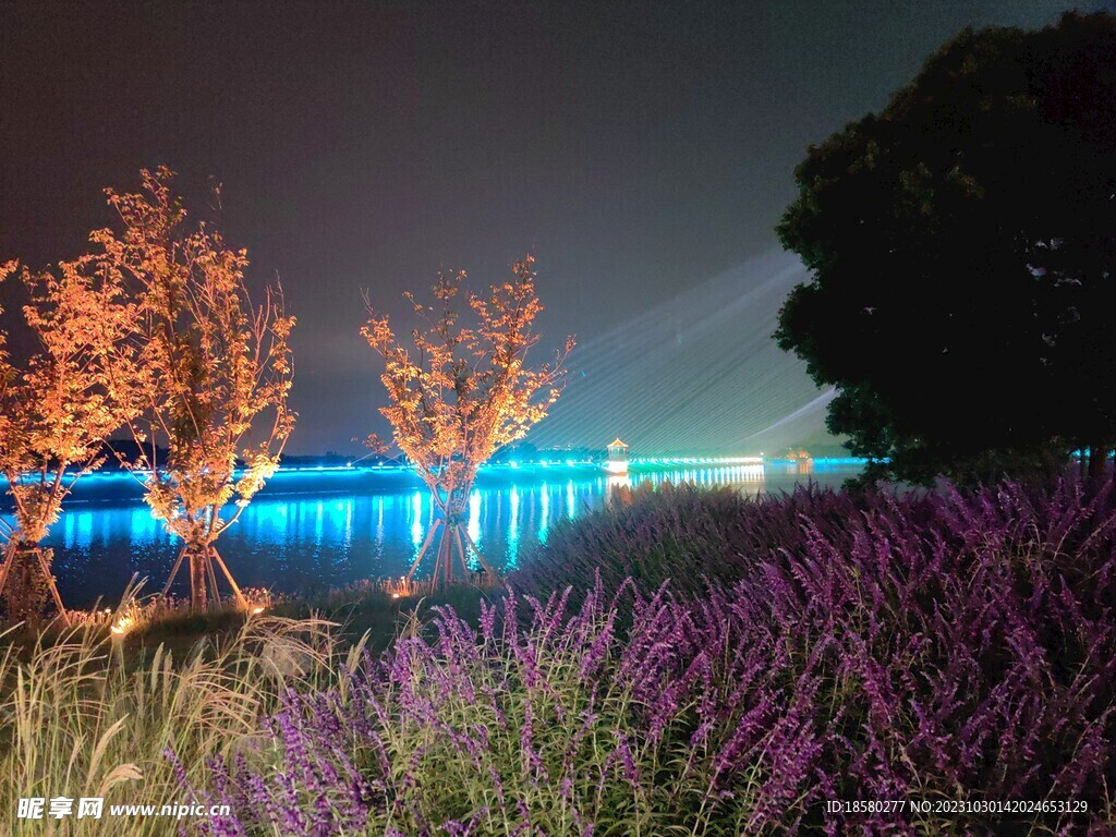 三岔湖夜景