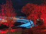 三岔湖夜景