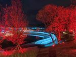 三岔湖夜景