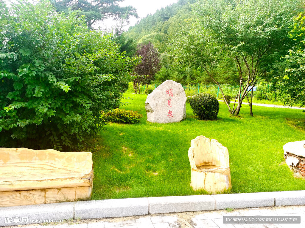 绿色园林风景 自然风景