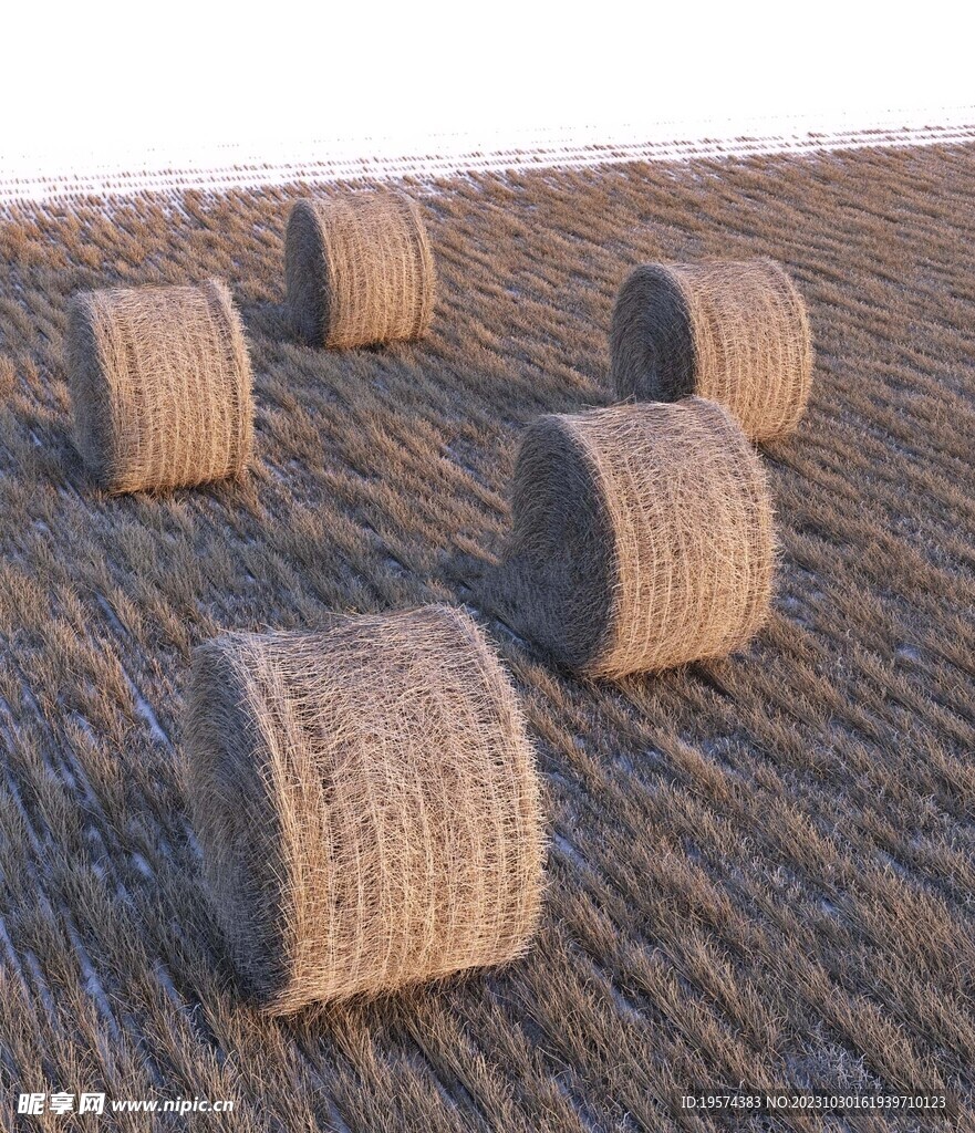 C4D模型 草垛