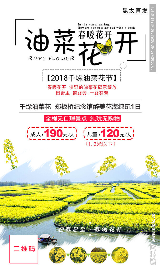 油菜花开旅游