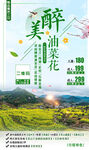 油菜花之旅
