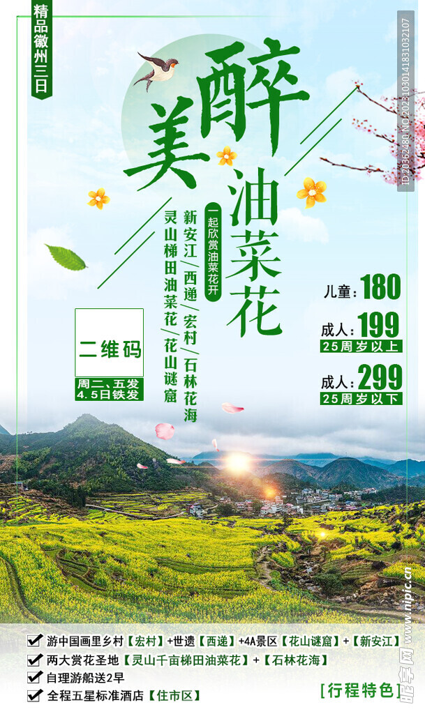 油菜花之旅