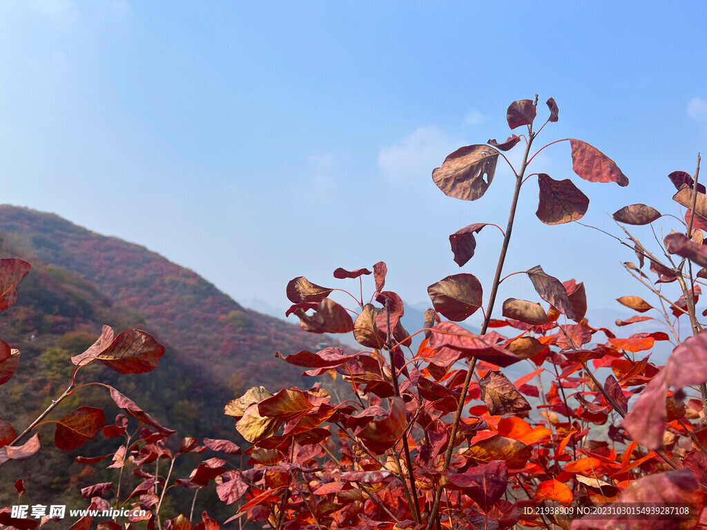 天赐山