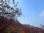 天赐山