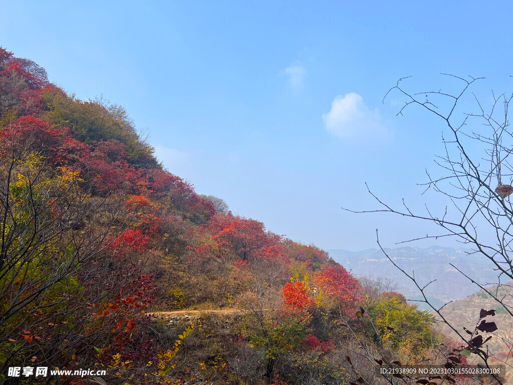 青州天赐山