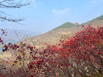 青州天赐山