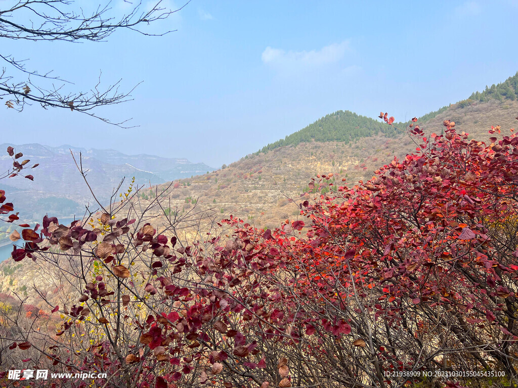 青州天赐山