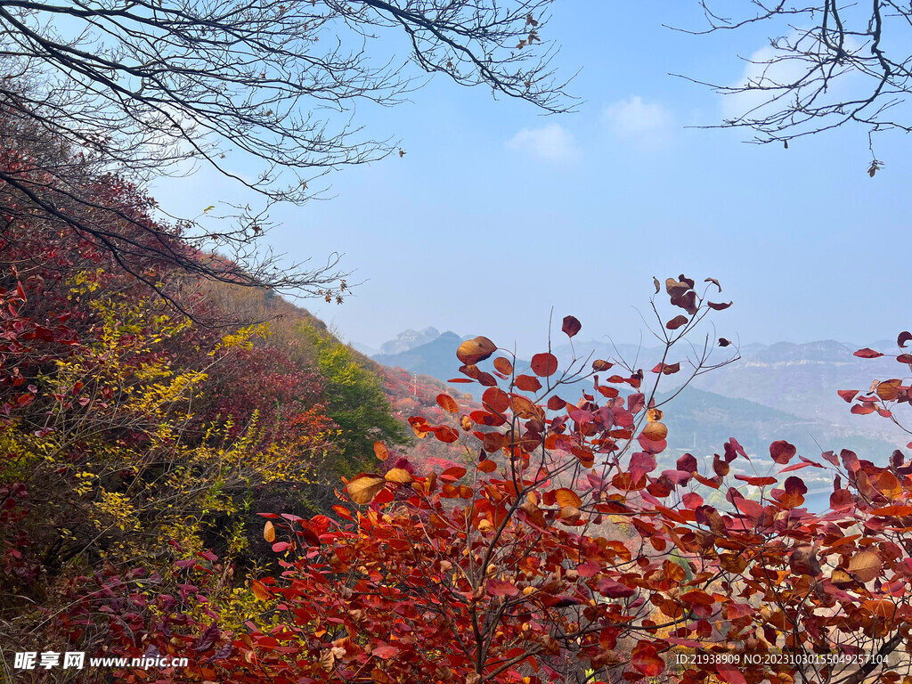 青州天赐山