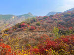 青州天赐山