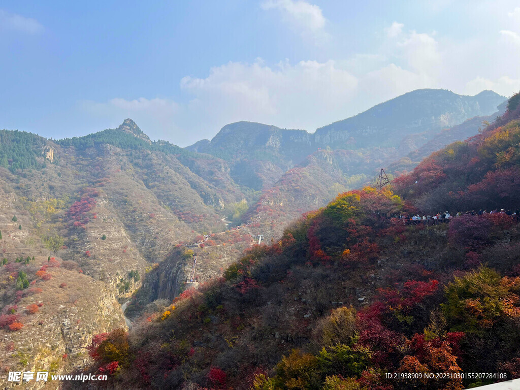 青州红叶