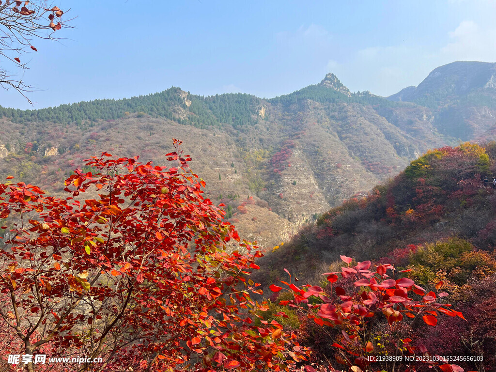 红叶山