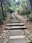山间小路