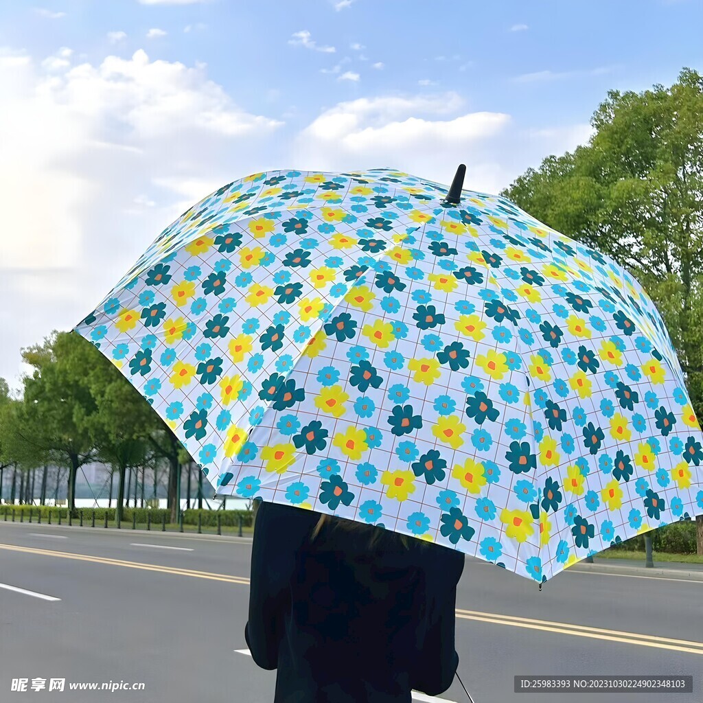 雨伞