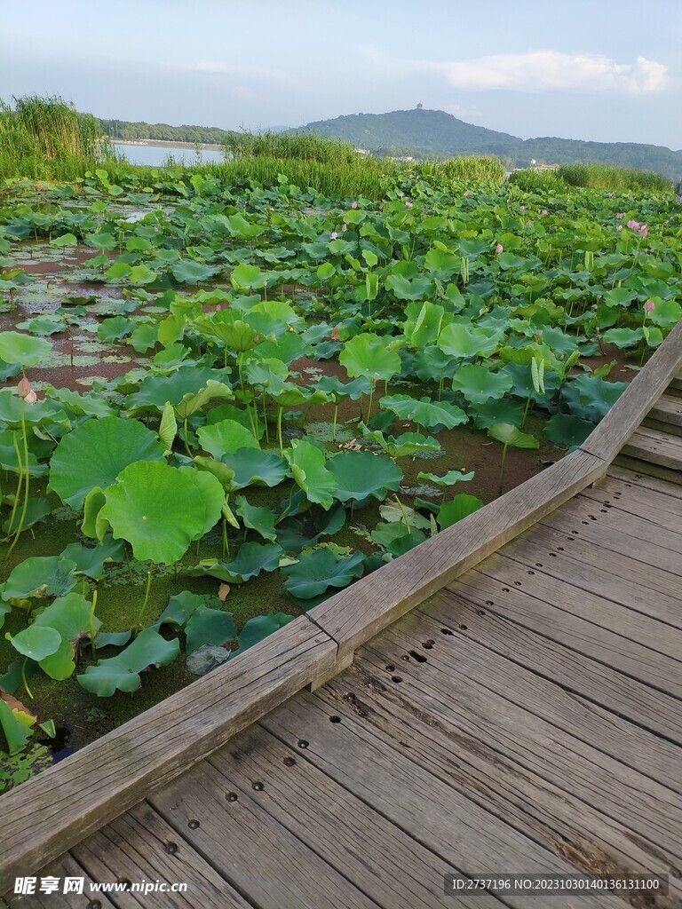 管社山庄