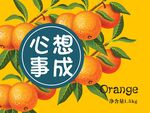 橙子包装  