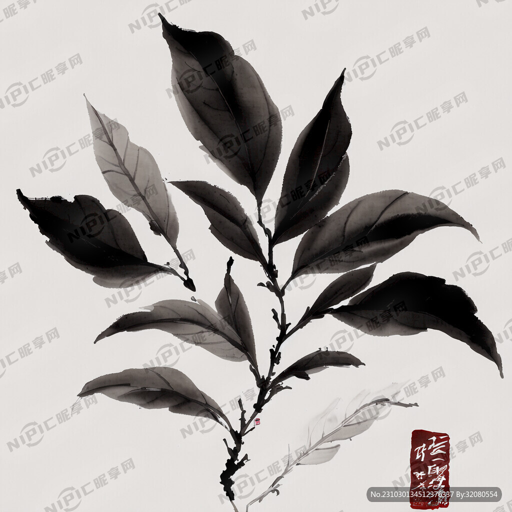 茶叶素材 白描