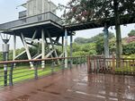 立新湖公园-景区
