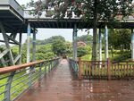 立新湖公园-景区