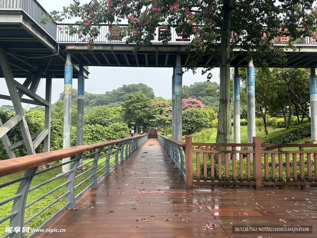 立新湖公园-景区