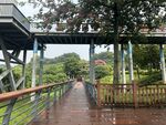 立新湖公园-景区 