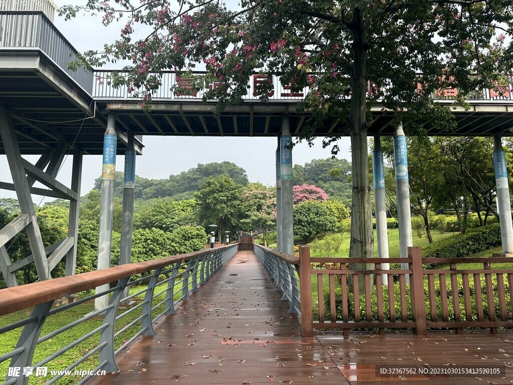 立新湖公园-景区 