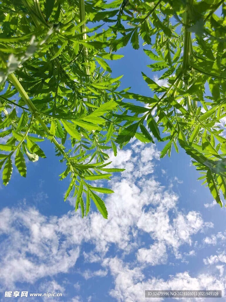 俯瞰天空