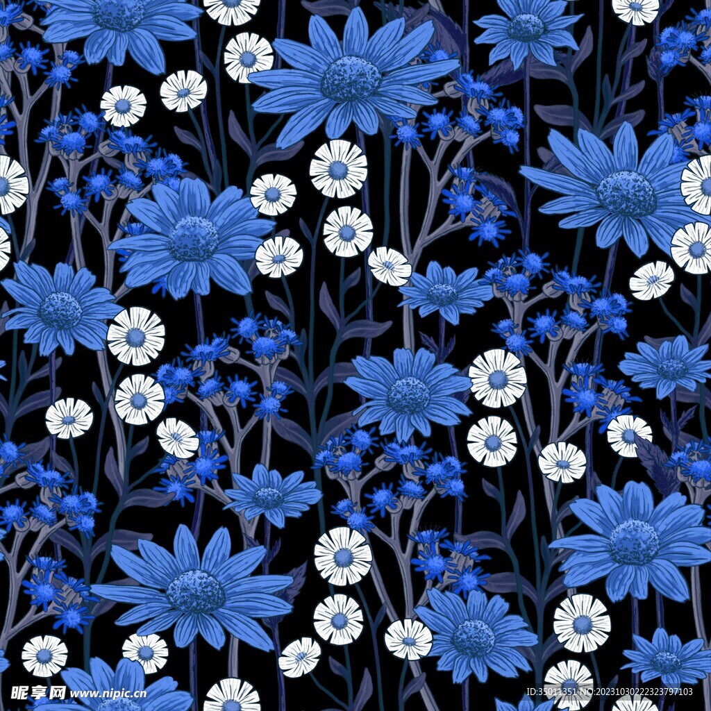 小雏菊