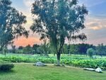 夕阳下的公园美景