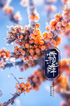 霜降