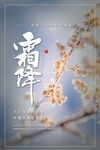 霜降 冰霜