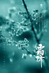 霜降 冰霜