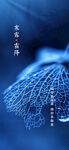 霜降海报