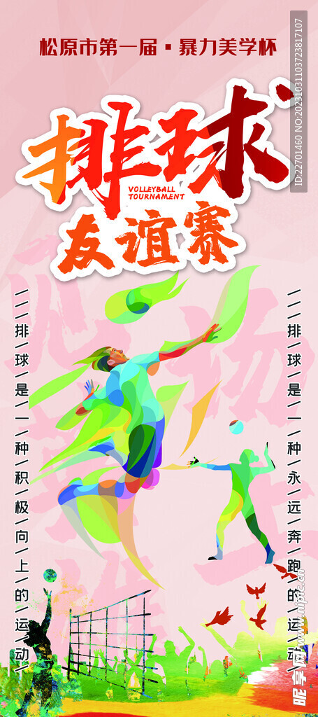 排球友谊赛