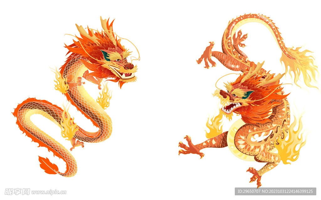 龙年素材