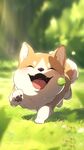 柴犬狗（提供个人学习非商用）