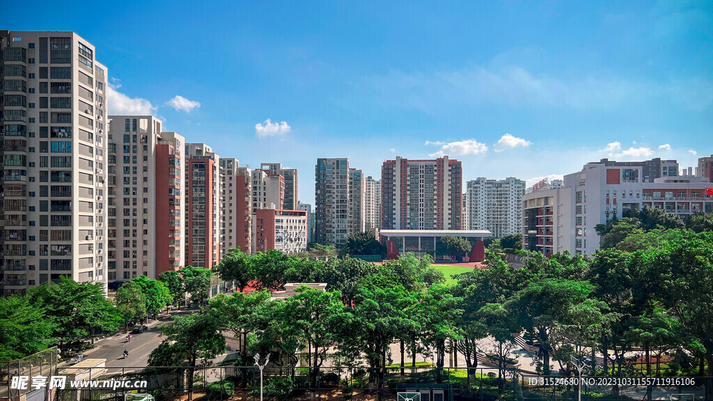 城市 夏天 景色 建筑