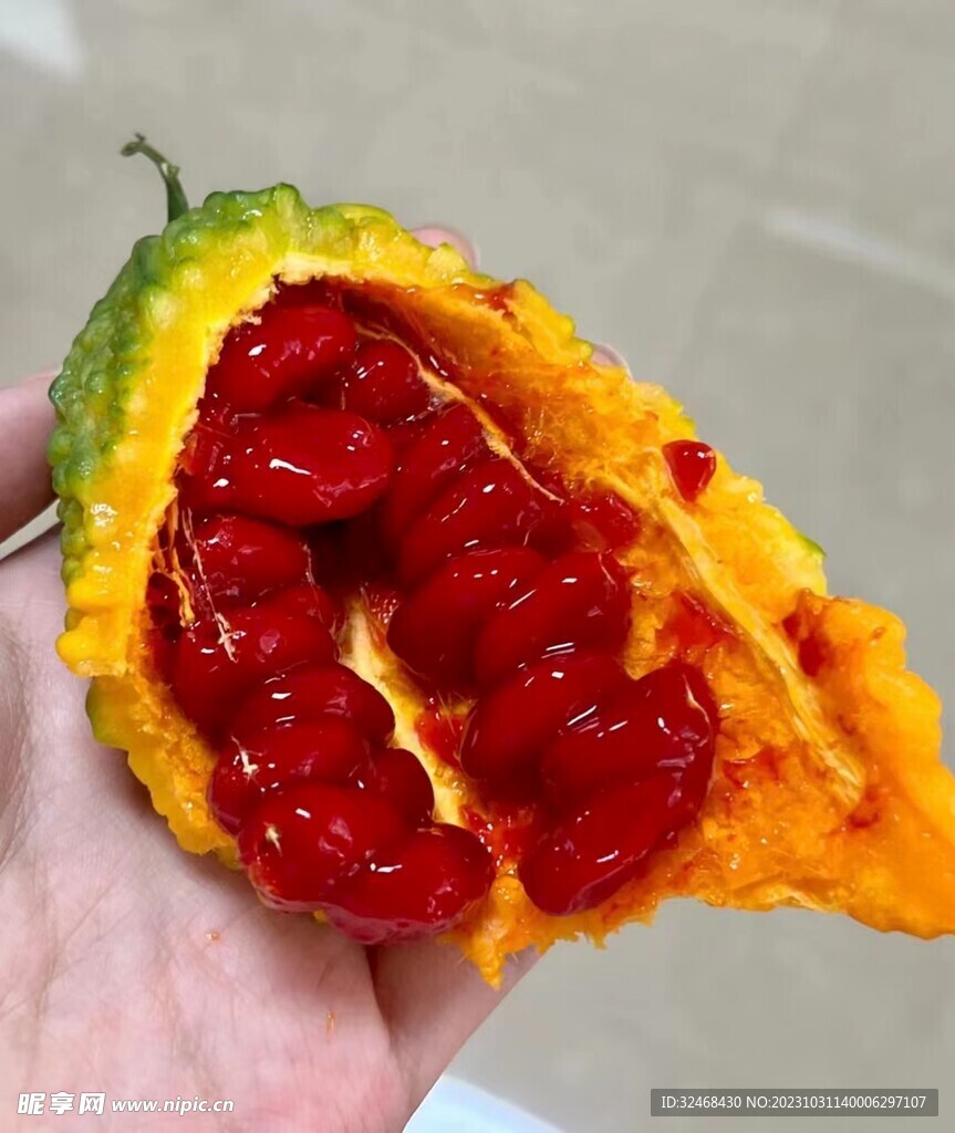 苦瓜